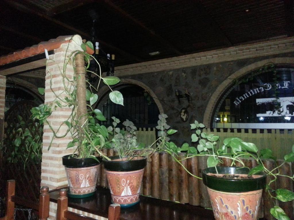 Posada De Los Consules กอนซูเอกรา ภายนอก รูปภาพ
