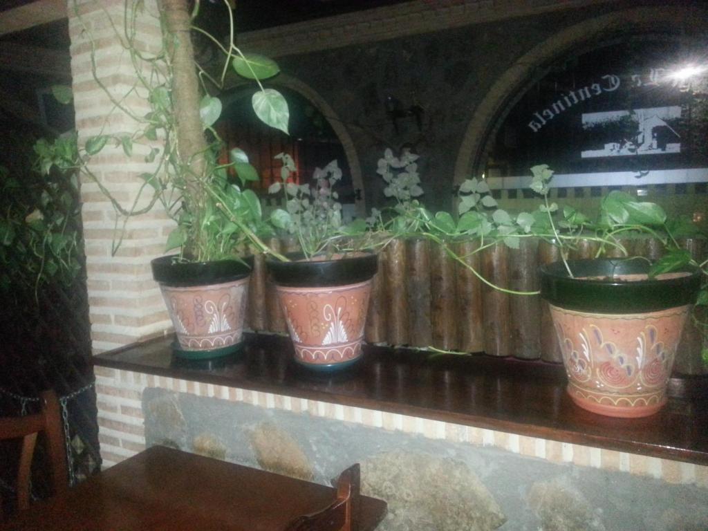 Posada De Los Consules กอนซูเอกรา ภายนอก รูปภาพ